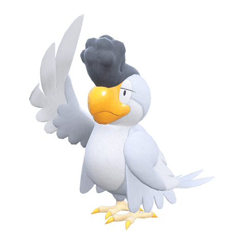 Squawkabilly (White Plumage) (Pokémon GO): Stats, Moves, Counters, Evolution