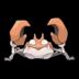 Thumbnail image of Krabby Obscur