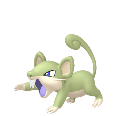 Pokémon HOME Shiny Rattata Sombroso ♀ sprite 