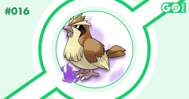 Shadow Pidgey