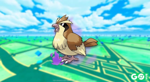 Shadow Pidgey