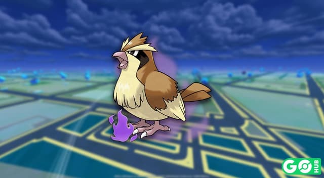 Shadow Pidgey