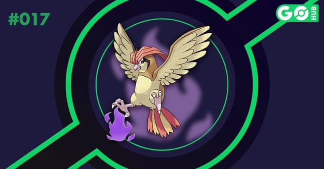 Shadow Pidgeotto