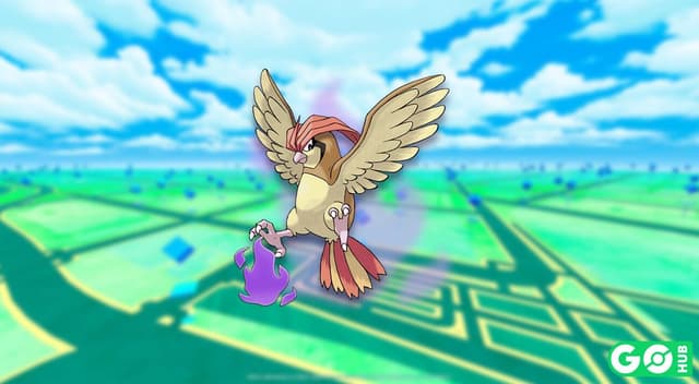 Shadow Pidgeotto