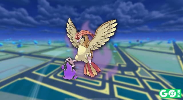 Shadow Pidgeotto