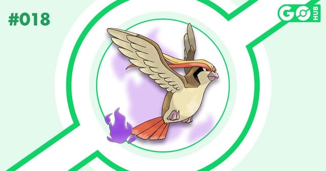 Shadow Pidgeot