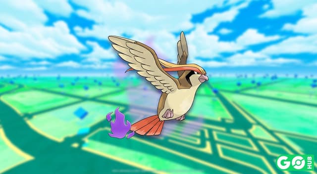 Shadow Pidgeot
