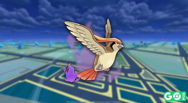 Shadow Pidgeot