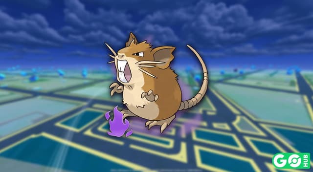 Shadow Raticate