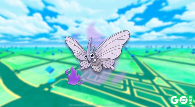 Shadow Venomoth