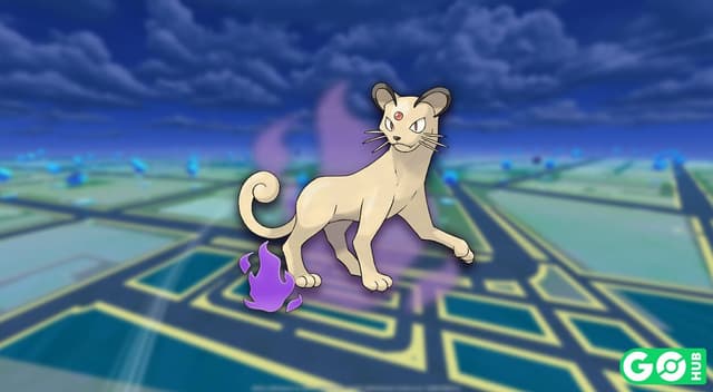 Shadow Persian
