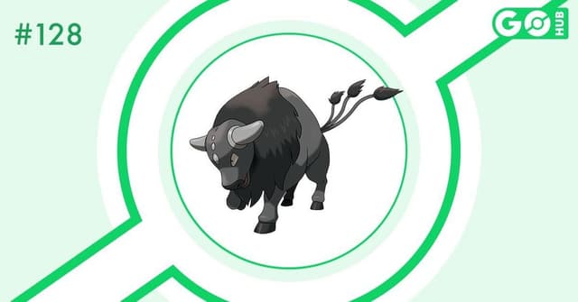 Tauros de Paldea (Race Combative)