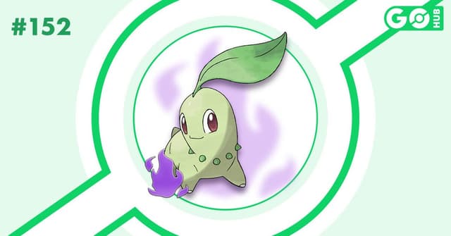 Chikorita oscuro