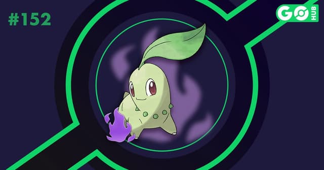 Chikorita oscuro