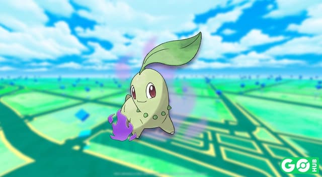 Chikorita oscuro