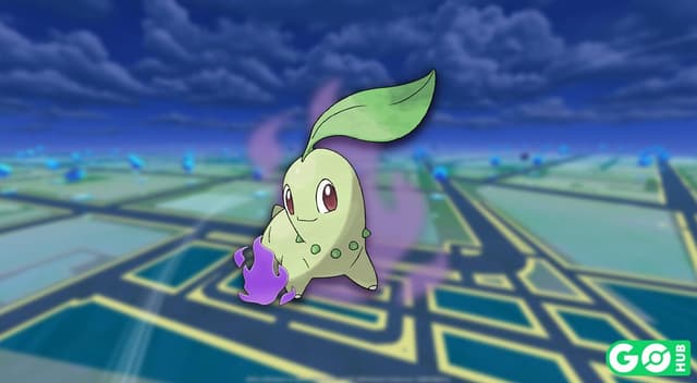 Chikorita oscuro