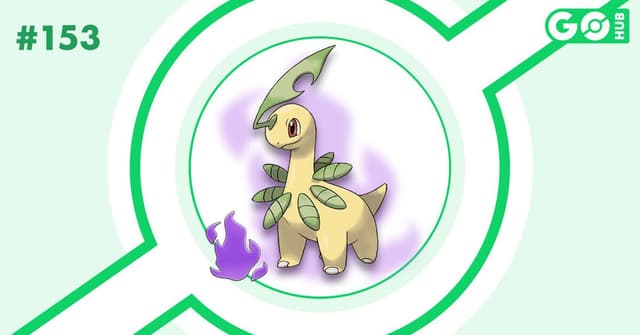 Bayleef oscuro