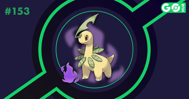 Bayleef oscuro