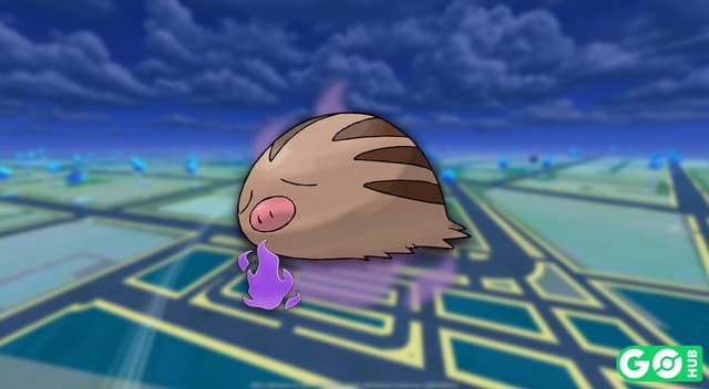 Shadow Swinub
