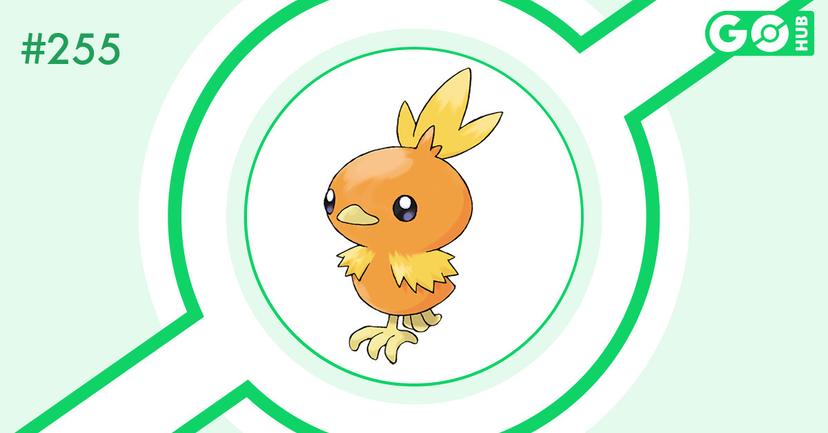 Torchic oscuro