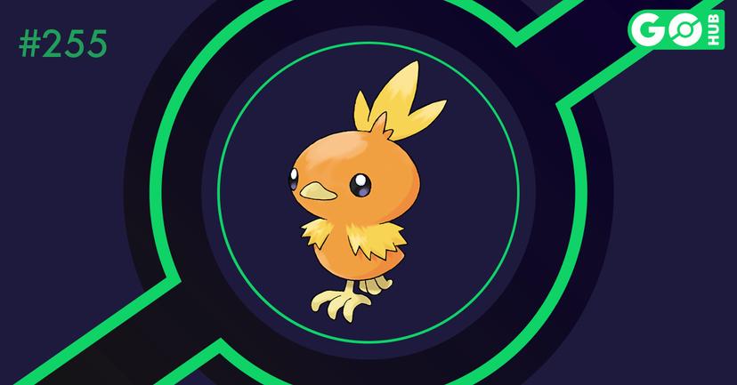 Torchic oscuro