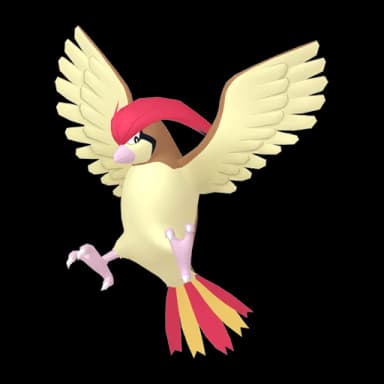 Pokémon HOME Pidgeotto sprite