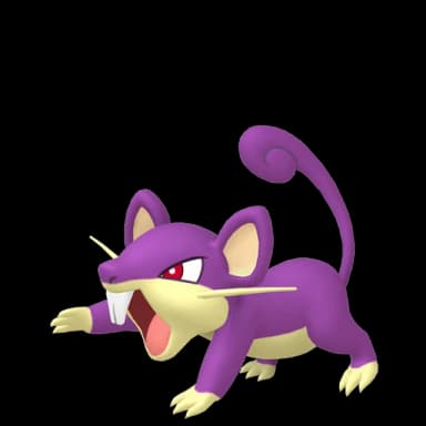 Pokémon HOME Rattata sprite
