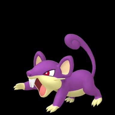 Pokémon HOME Rattata ♀ sprite