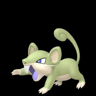 Pokémon HOME Shiny Rattata ♀ sprite