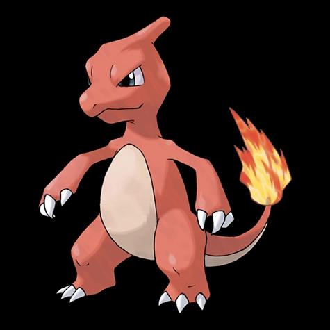 Official artwork of Shadow Charmeleon