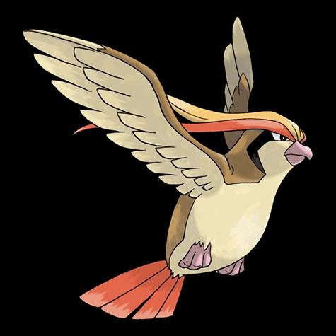 Official artwork of Shadow Pidgeot