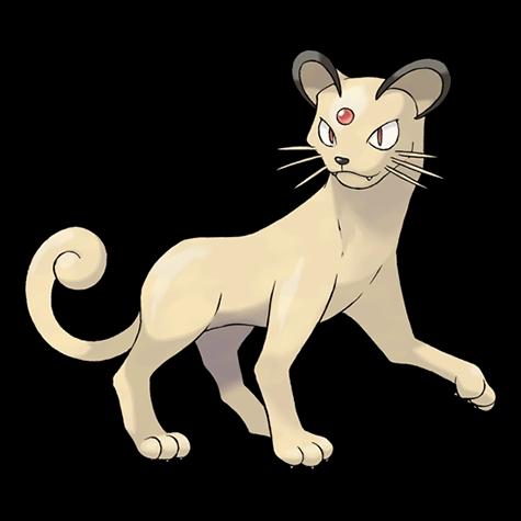 Official artwork of Shadow Persian