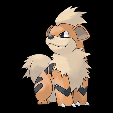 Official artwork of Shadow Growlithe