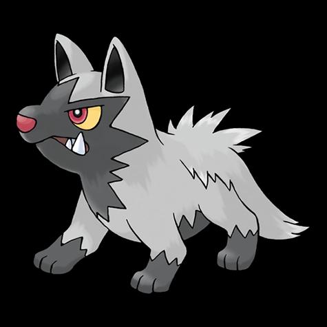 Official artwork of Shadow Poochyena