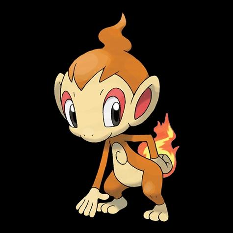 Official artwork of Shadow Chimchar