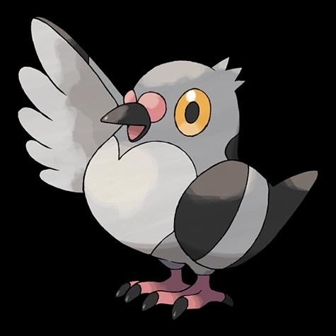 Official artwork of Shadow Pidove