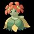 Thumbnail image of Bellossom oscuro