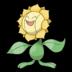 Thumbnail image of Sunflora