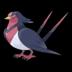 Thumbnail image of Swellow