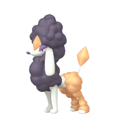 Pokémon HOME Shiny Furfrou sprite 