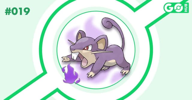 Shadow Rattata