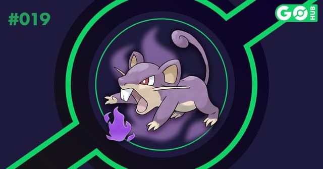 Shadow Rattata