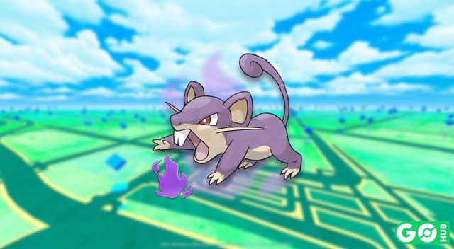 Shadow Rattata