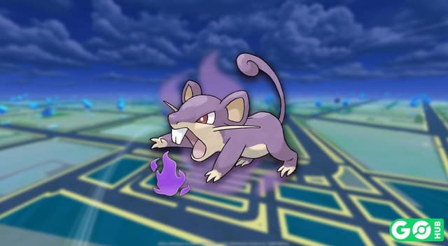 Shadow Rattata