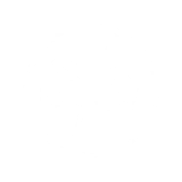 Max Particles icon