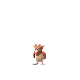 Pokemon GO Spearow. 