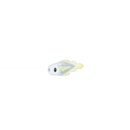 Tynamo Pokemon Go Stats Counters Best Moves How To Get It