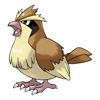 口袋妖怪GO Pidgey