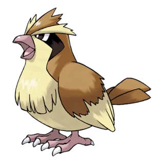 Roucool Pokémon GO