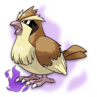 Roucool Obscur Pokémon GO